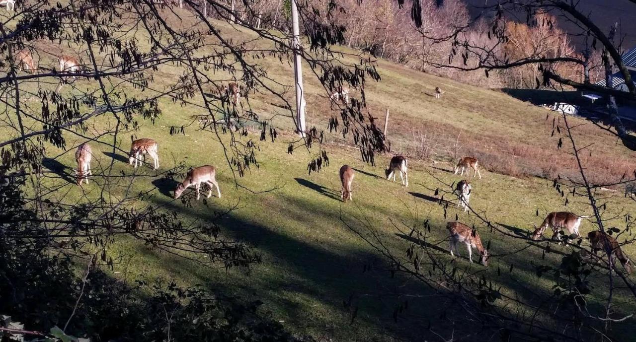 B&B Marcantonio Country House Sogliano al Rubicone Buitenkant foto